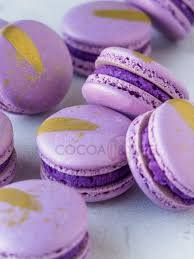 Purple Fat Soluble Colour