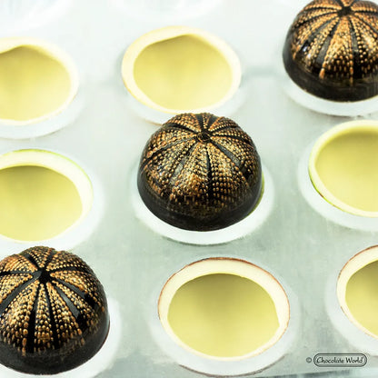 Chocolate Mould CW12032 / 10.5g / 21Cavities Per Mould